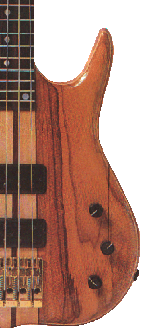 Bass Guitar