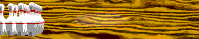 bowling.gif (23415 bytes)