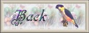 Back to Rowena's Ark
