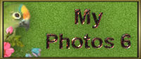 Crockett
s Photo Album Six