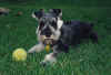 Angel with ball.jpg (60247 bytes)