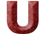UNIVERSE