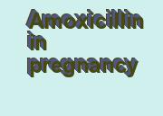 amoxicillin generic