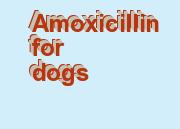 amoxicillin side affects