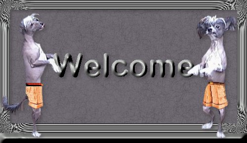 Welcome