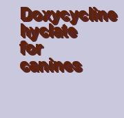 doxycycline hyclate 100mg information