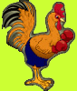 www.coqgaulois.com