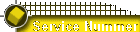 Service Nummer