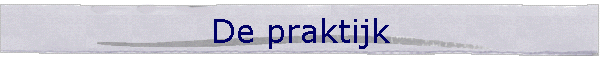 De praktijk