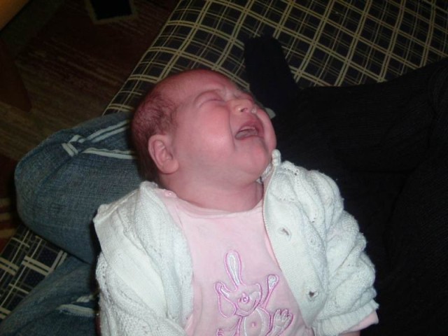 Nchstes Bild