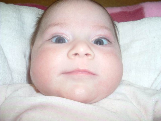Nchstes Bild