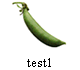 test1