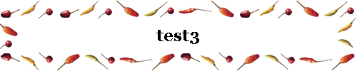 test3