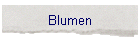 Blumen