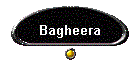 Bagheera
