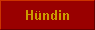  Hndin 