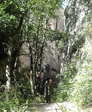 Las Palancas