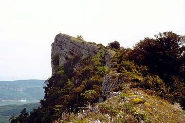 Soila