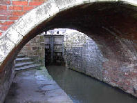 wpb246b4b6.jpg