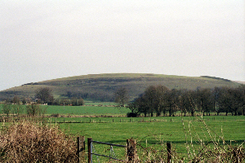 Scratchbury Hill