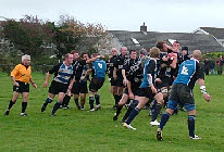 wp1134298c_1b.jpg
