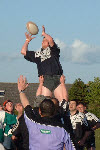 wpe007521d_1b.jpg