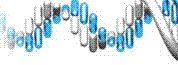 wpe217d430.gif