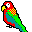 Parrot