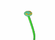 flowerimge.gif - 15112 Bytes