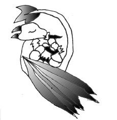 Toranis