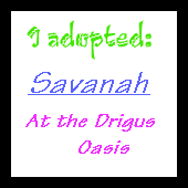 I Adopted Savanah From The Drigus Oasis