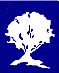 BK tree
