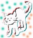 cute cat pic