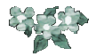 gnclust.gif (3590 bytes)
