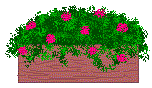 planter