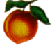 Georgia Peach