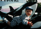 seaworld.gif (44643 bytes)
