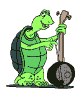 dancing turtle