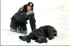 Fargo4.gif (15425 bytes)