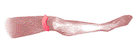 patella.gif (2988 bytes)