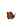 Monarch