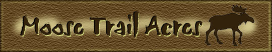 MTA Logo - by Cari
Click for Home Page