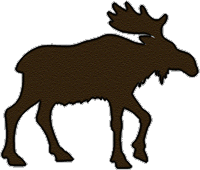 Moose