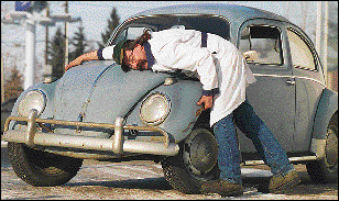 0301bug.gif (30002 bytes)