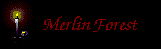 Visit Merlin Forest