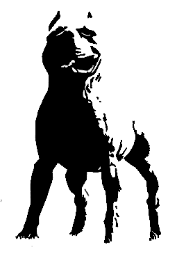 Cascade Logo