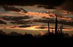 desert sunset