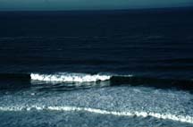 ocean waves