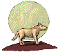 wolf
