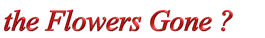 Flowgone.gif (3770 bytes)